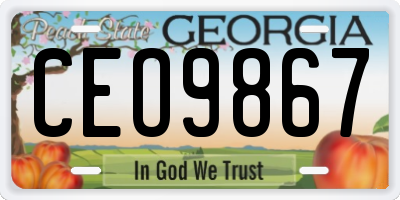 GA license plate CEO9867