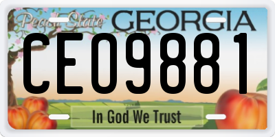 GA license plate CEO9881