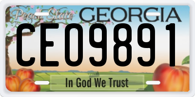 GA license plate CEO9891