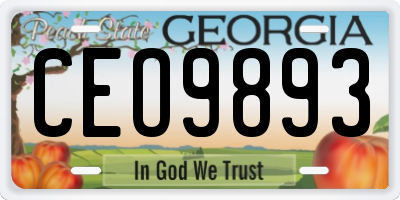 GA license plate CEO9893
