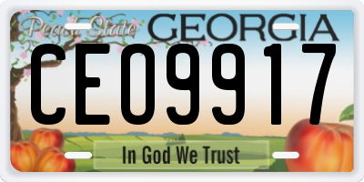 GA license plate CEO9917