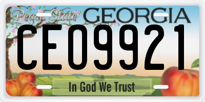 GA license plate CEO9921