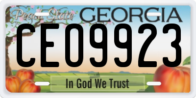 GA license plate CEO9923
