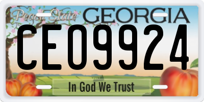 GA license plate CEO9924