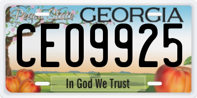 GA license plate CEO9925