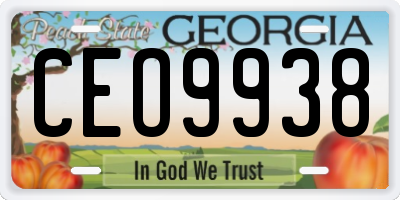 GA license plate CEO9938