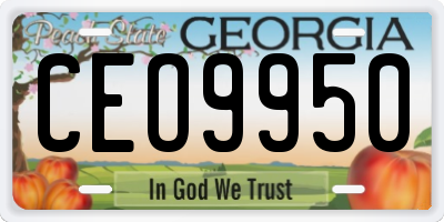 GA license plate CEO9950