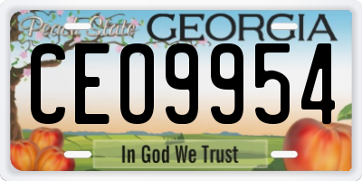 GA license plate CEO9954