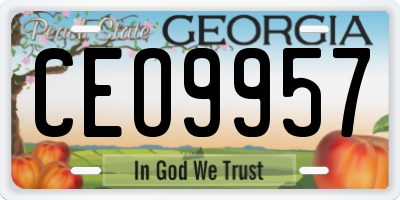 GA license plate CEO9957