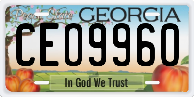 GA license plate CEO9960