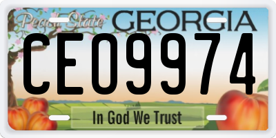 GA license plate CEO9974