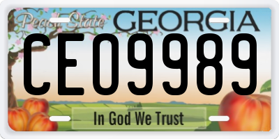 GA license plate CEO9989