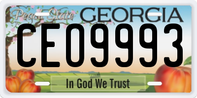 GA license plate CEO9993