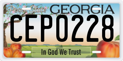 GA license plate CEP0228