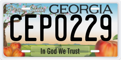 GA license plate CEP0229