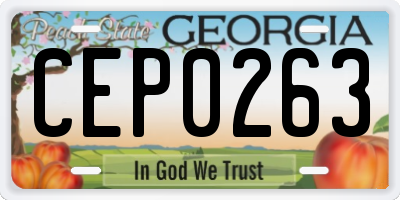 GA license plate CEP0263