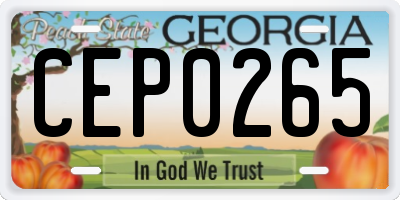 GA license plate CEP0265