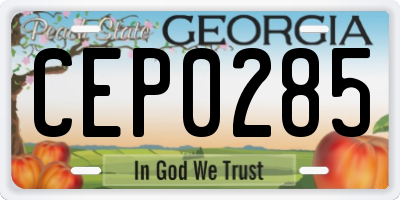 GA license plate CEP0285