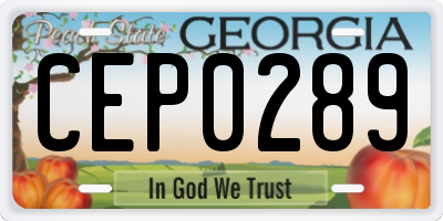 GA license plate CEP0289