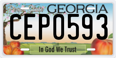 GA license plate CEP0593