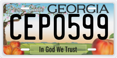 GA license plate CEP0599