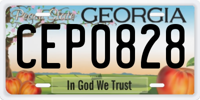 GA license plate CEP0828