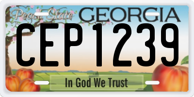 GA license plate CEP1239