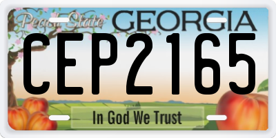 GA license plate CEP2165