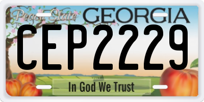 GA license plate CEP2229