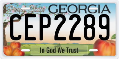 GA license plate CEP2289