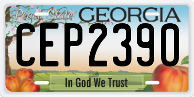 GA license plate CEP2390