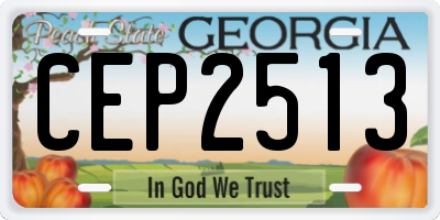GA license plate CEP2513