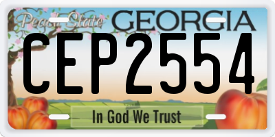GA license plate CEP2554
