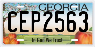 GA license plate CEP2563