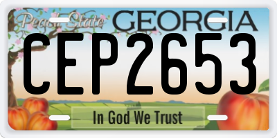 GA license plate CEP2653