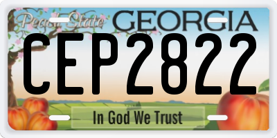 GA license plate CEP2822