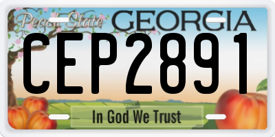 GA license plate CEP2891