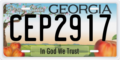 GA license plate CEP2917