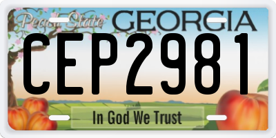 GA license plate CEP2981