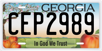 GA license plate CEP2989