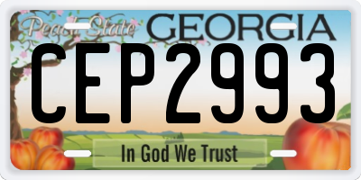 GA license plate CEP2993