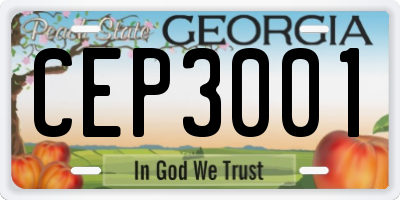 GA license plate CEP3001