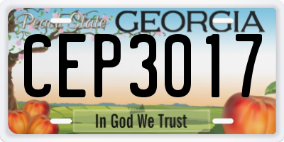 GA license plate CEP3017