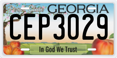 GA license plate CEP3029