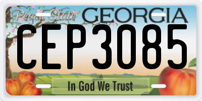 GA license plate CEP3085