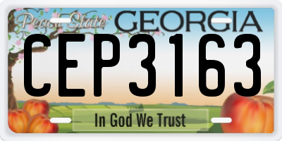 GA license plate CEP3163