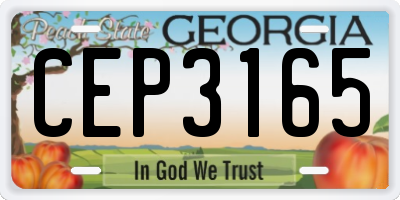 GA license plate CEP3165