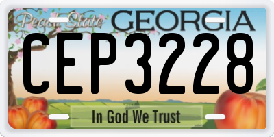 GA license plate CEP3228