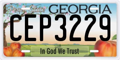 GA license plate CEP3229