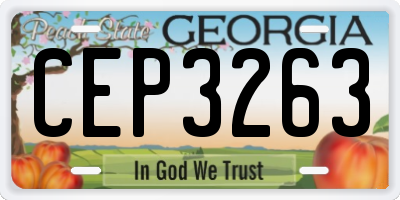 GA license plate CEP3263